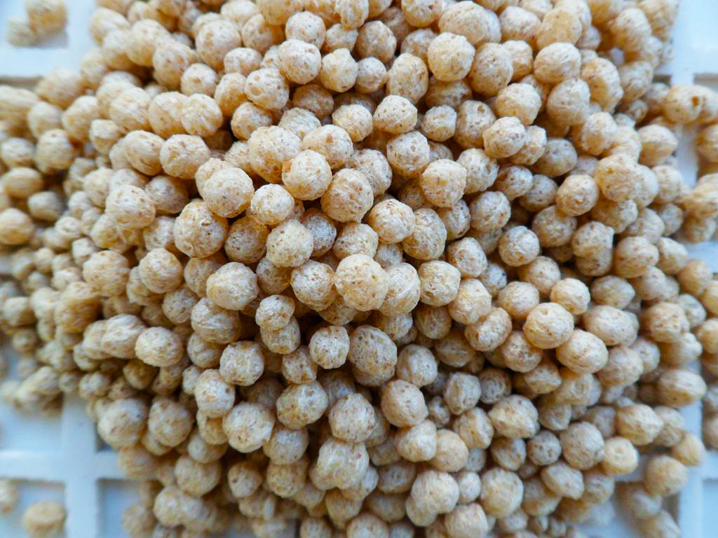 Procesamiento de materias primas de cereales, salvado de trigo, harina de salvado de centeno Polonia