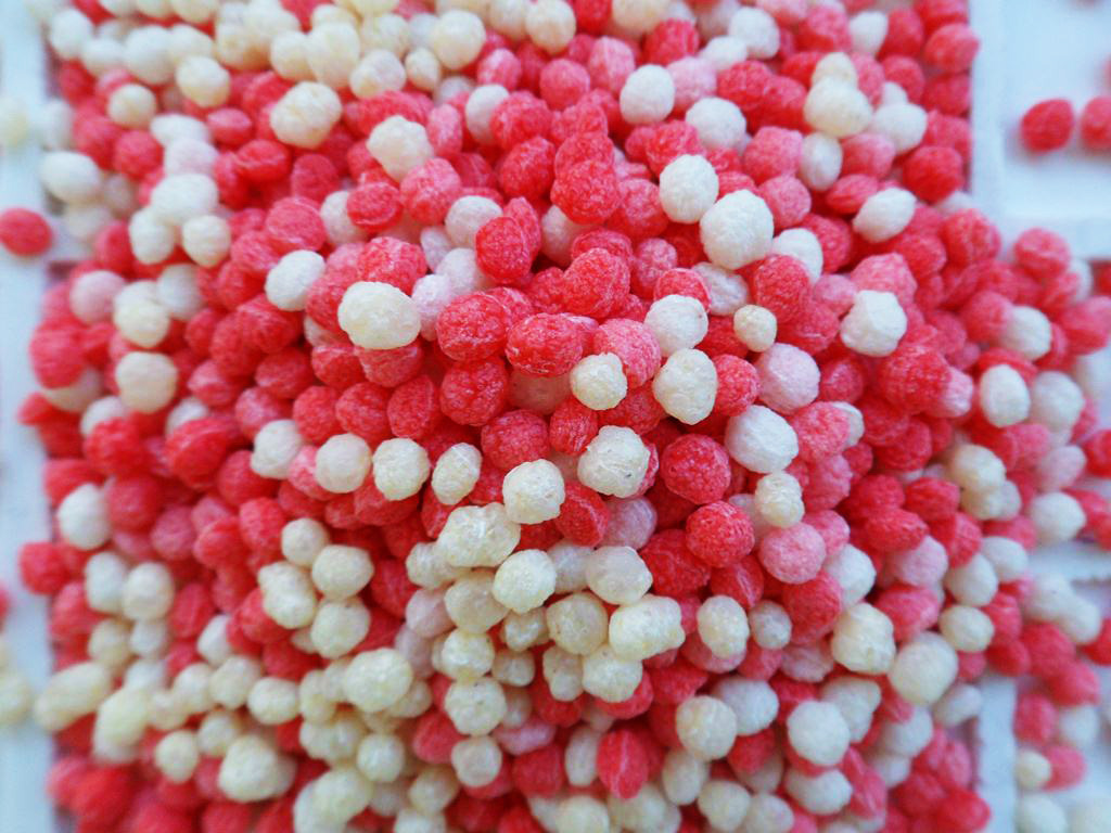 Procesamiento de materias primas de cereales, salvado de trigo, harina de salvado de centeno Polonia